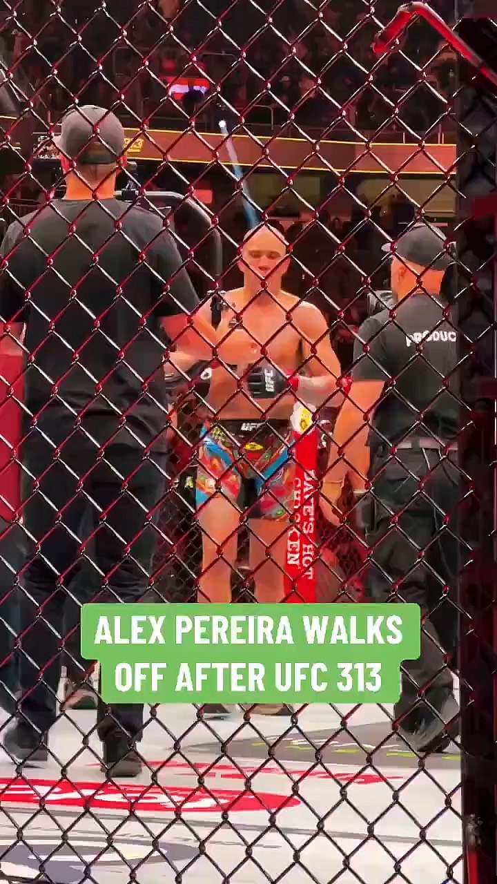 佩雷拉主场大胜，联赛表现立竿见影的简单介绍