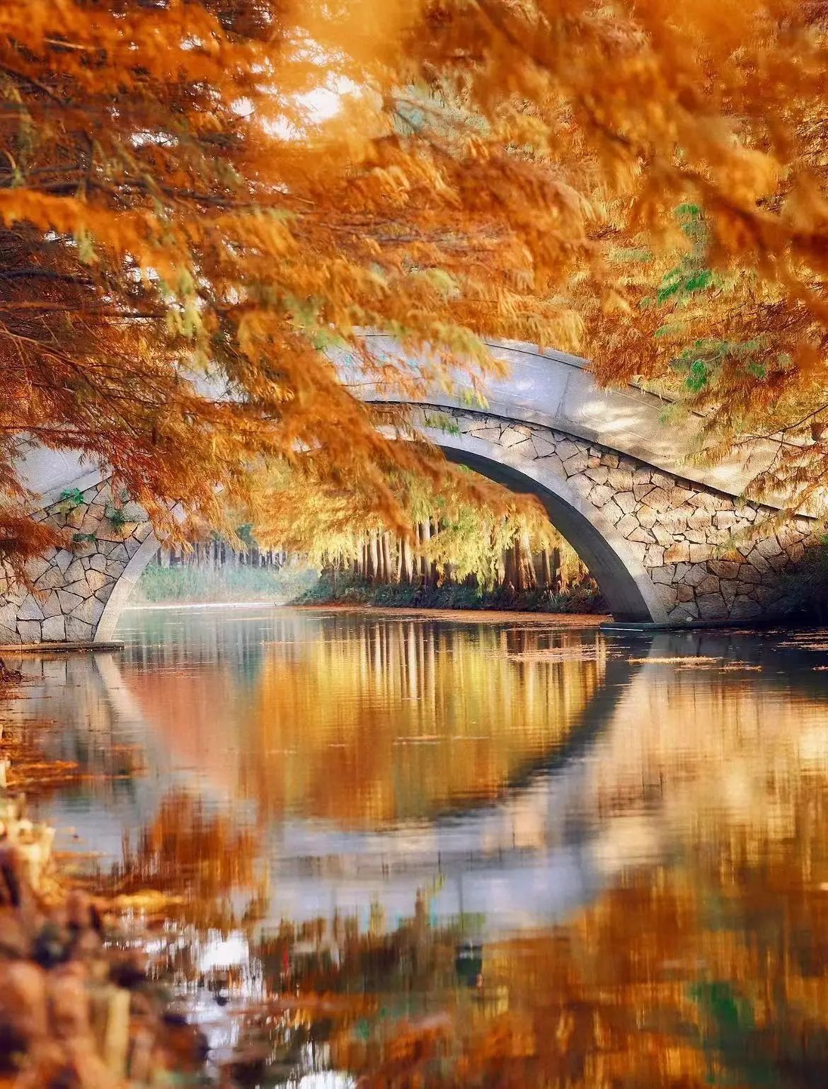 情感：爱恨纠缠难分，胜败在于心境的简单介绍