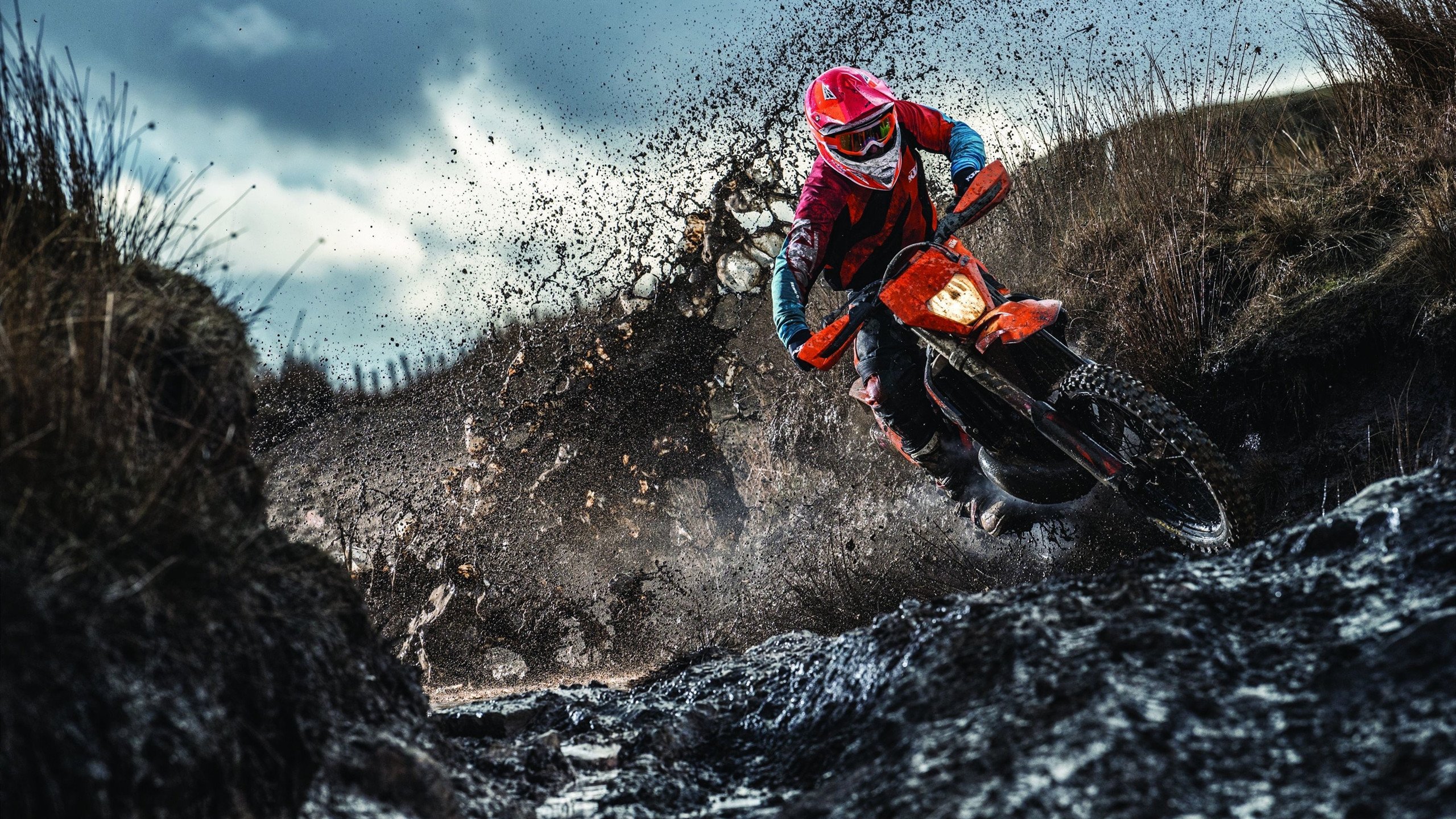 西亚卡姆关键节点突破纪录，法国队带队取胜！